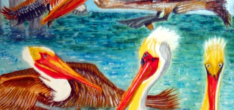 Marine Birds: Brown Pelicans